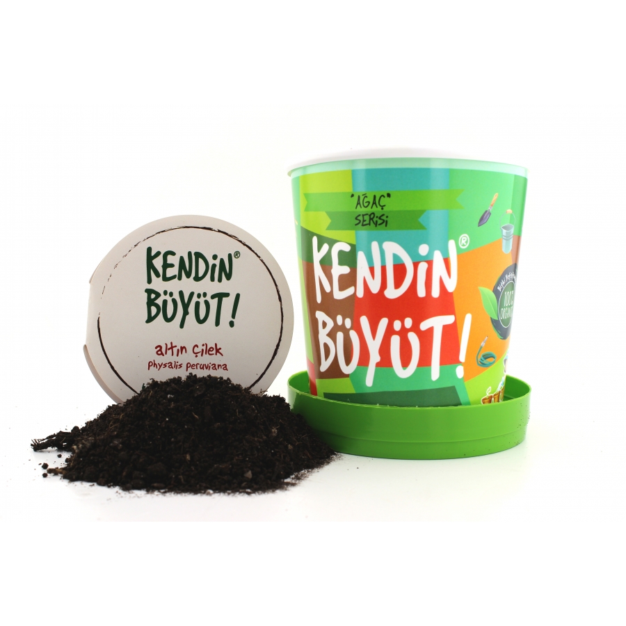 Altın Çilek Çimlendirme Kiti