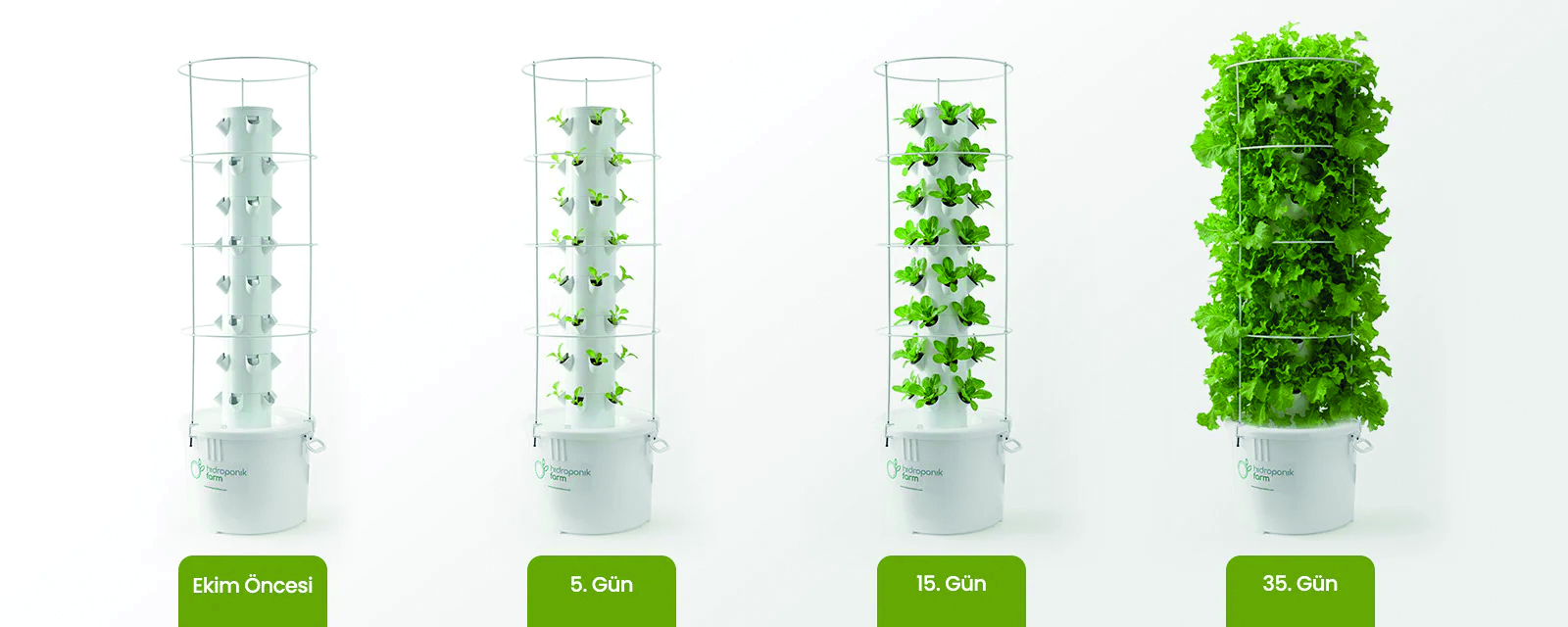 Hidroponik Sistem Banner